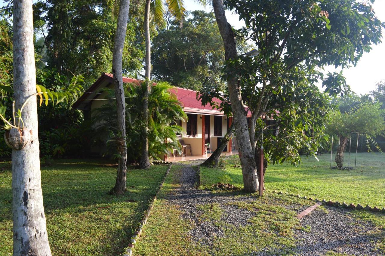 Zum Deutschen Bed & Breakfast Bentota Eksteriør bilde